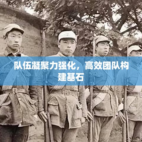 隊伍凝聚力強化，高效團隊構(gòu)建基石