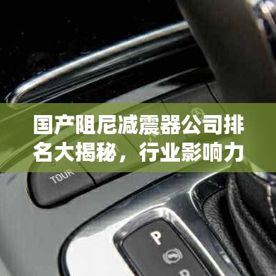 國產阻尼減震器公司排名大揭秘，行業(yè)影響力不容小覷！