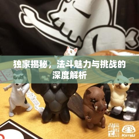 獨(dú)家揭秘，法斗魅力與挑戰(zhàn)的深度解析