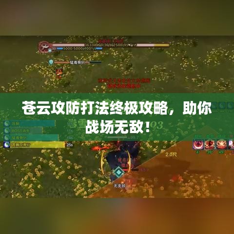 蒼云攻防打法終極攻略，助你戰(zhàn)場無敵！