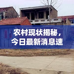 農村現(xiàn)狀揭秘，今日最新消息速遞