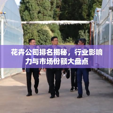 花卉公司排名揭秘，行業(yè)影響力與市場份額大盤點(diǎn)