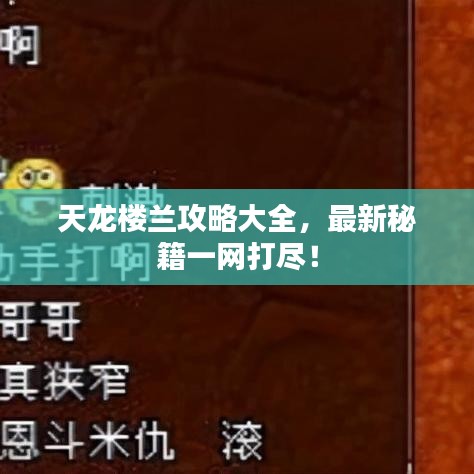 天龍樓蘭攻略大全，最新秘籍一網(wǎng)打盡！