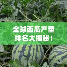 全球西瓜產(chǎn)量排名大揭秘！