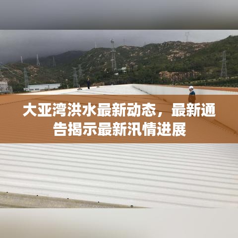 大亞灣洪水最新動(dòng)態(tài)，最新通告揭示最新汛情進(jìn)展