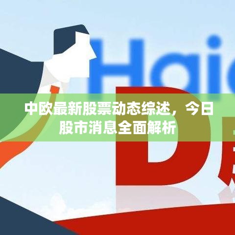 中歐最新股票動(dòng)態(tài)綜述，今日股市消息全面解析