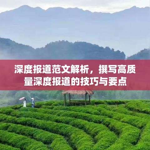 深度報(bào)道范文解析，撰寫高質(zhì)量深度報(bào)道的技巧與要點(diǎn)
