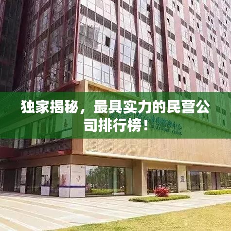 獨(dú)家揭秘，最具實(shí)力的民營公司排行榜！