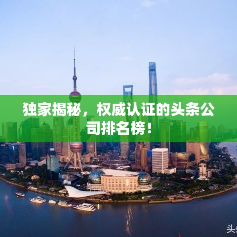 獨(dú)家揭秘，權(quán)威認(rèn)證的頭條公司排名榜！