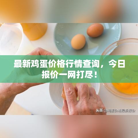 最新雞蛋價格行情查詢，今日報價一網(wǎng)打盡！