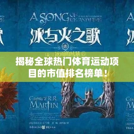 揭秘全球熱門體育運動項目的市值排名榜單！