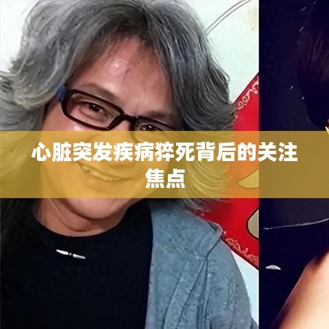 心臟突發(fā)疾病猝死背后的關(guān)注焦點