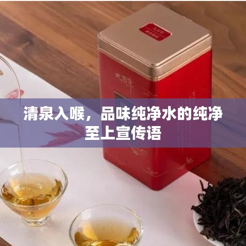 清泉入喉，品味純凈水的純凈至上宣傳語