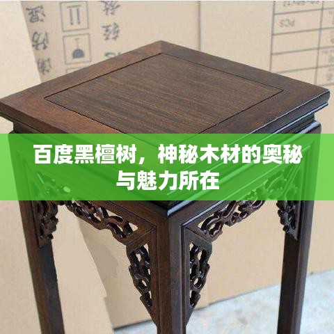 反樸歸真 第3頁(yè)