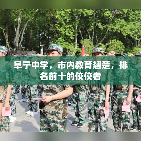 阜寧中學(xué)，市內(nèi)教育翹楚，排名前十的佼佼者