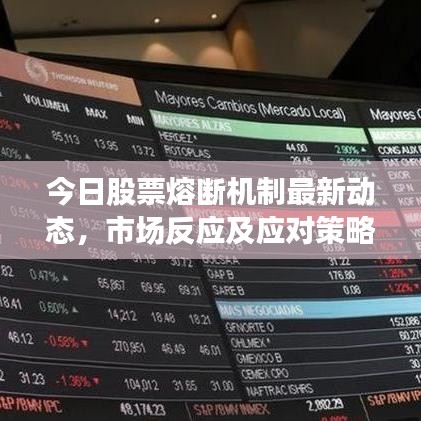 今日股票熔斷機(jī)制最新動(dòng)態(tài)，市場反應(yīng)及應(yīng)對(duì)策略揭秘