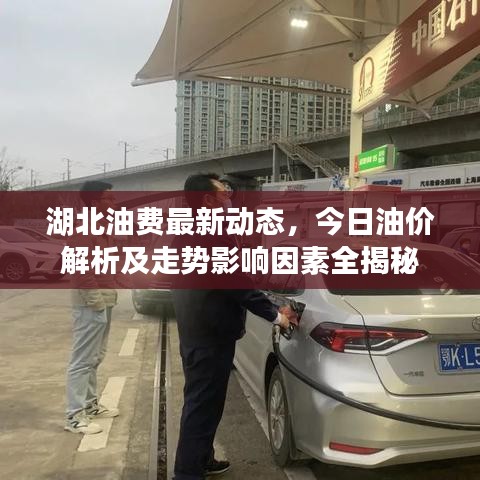 湖北油費(fèi)最新動(dòng)態(tài)，今日油價(jià)解析及走勢(shì)影響因素全揭秘