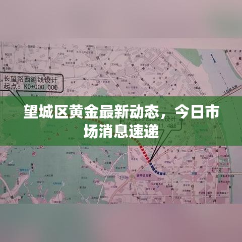 望城區(qū)黃金最新動(dòng)態(tài)，今日市場(chǎng)消息速遞