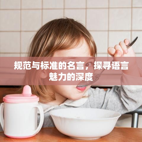 規(guī)范與標(biāo)準(zhǔn)的名言，探尋語(yǔ)言魅力的深度