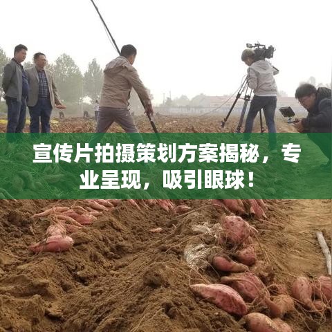 宣傳片拍攝策劃方案揭秘，專業(yè)呈現(xiàn)，吸引眼球！