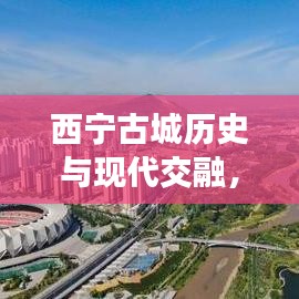 西寧古城歷史與現(xiàn)代交融，頭條新聞直播盛況