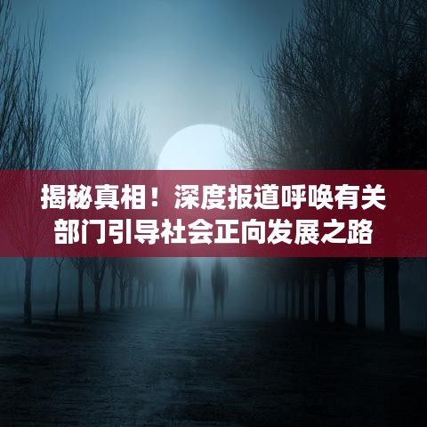 揭秘真相！深度報道呼喚有關(guān)部門引導(dǎo)社會正向發(fā)展之路