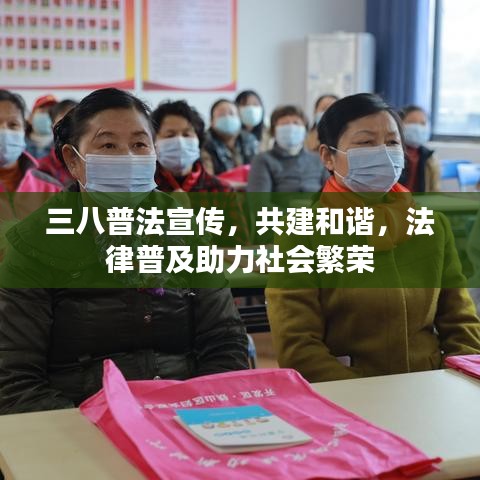 三八普法宣傳，共建和諧，法律普及助力社會繁榮
