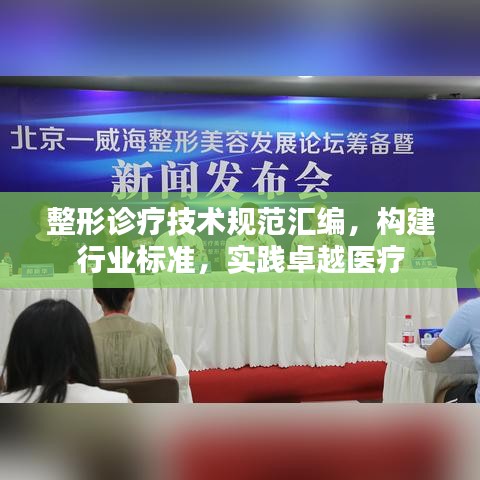整形診療技術(shù)規(guī)范匯編，構(gòu)建行業(yè)標(biāo)準(zhǔn)，實(shí)踐卓越醫(yī)療