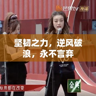 堅韌之力，逆風破浪，永不言棄