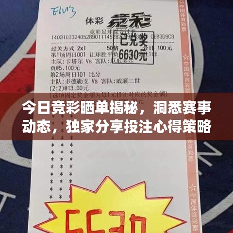 今日競(jìng)彩曬單揭秘，洞悉賽事動(dòng)態(tài)，獨(dú)家分享投注心得策略