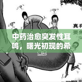 中藥治愈突發(fā)性耳鳴，曙光初現(xiàn)的希望之路