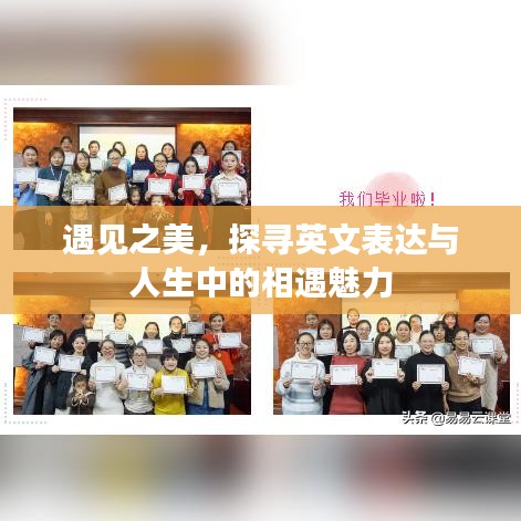 遇見(jiàn)之美，探尋英文表達(dá)與人生中的相遇魅力