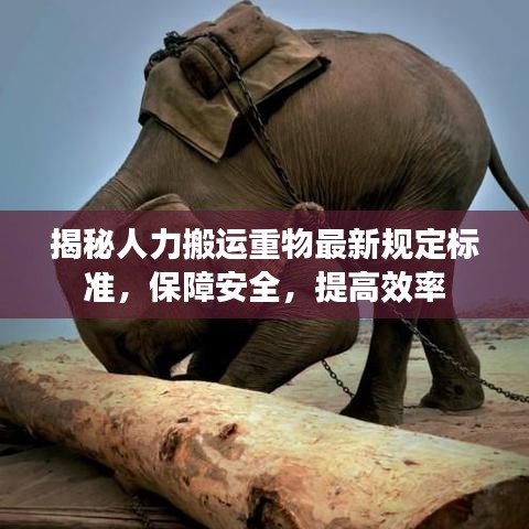揭秘人力搬運重物最新規(guī)定標準，保障安全，提高效率