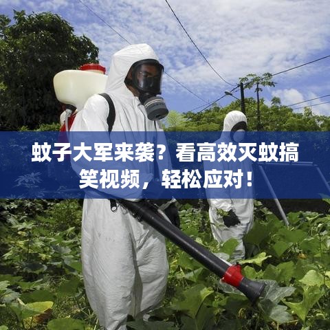 蚊子大軍來襲？看高效滅蚊搞笑視頻，輕松應對！