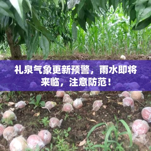 禮泉氣象更新預警，雨水即將來臨，注意防范！