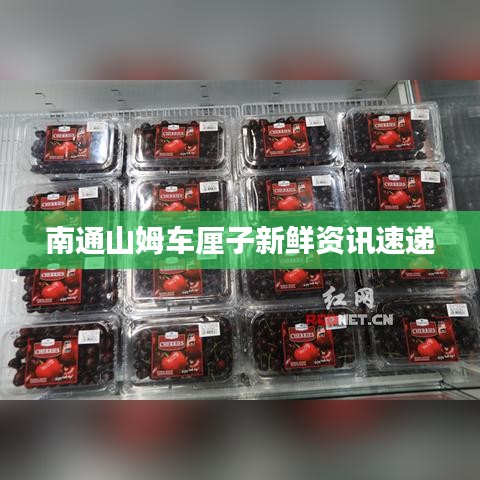 南通山姆車厘子新鮮資訊速遞