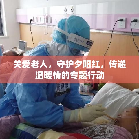 關(guān)愛老人，守護夕陽紅，傳遞溫暖情的專題行動