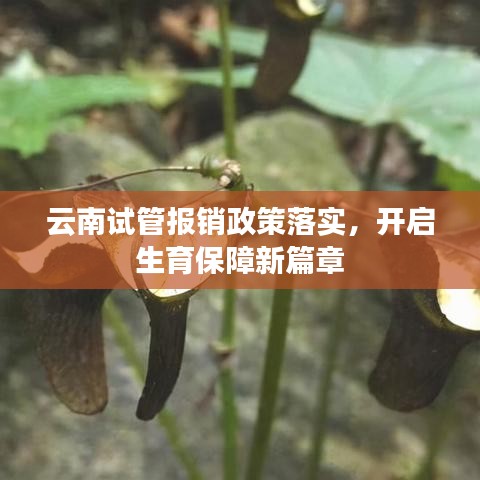 草草收兵 第3頁(yè)
