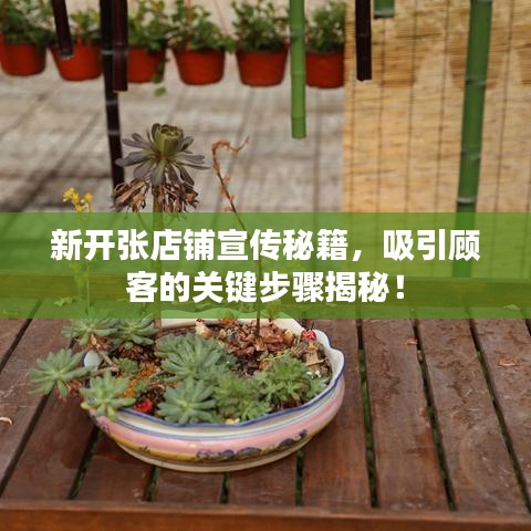新開張店鋪宣傳秘籍，吸引顧客的關(guān)鍵步驟揭秘！