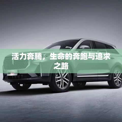 活力奔騰，生命的奔跑與追求之路