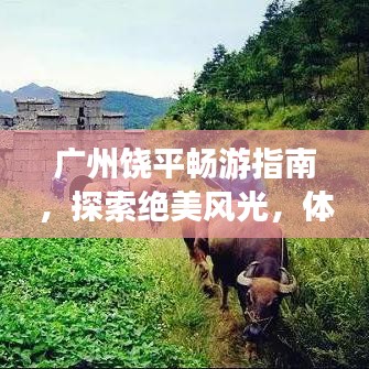 廣州饒平暢游指南，探索絕美風(fēng)光，體驗獨特風(fēng)情！