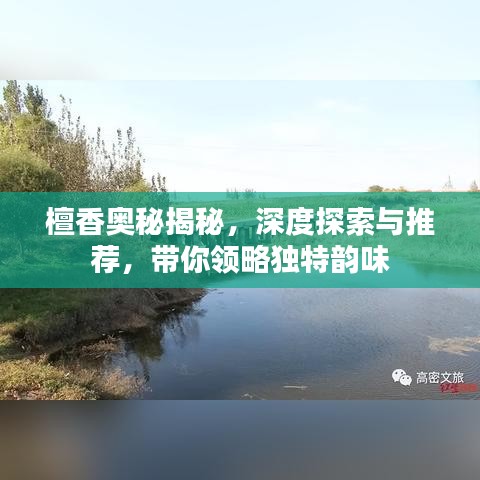 檀香奧秘揭秘，深度探索與推薦，帶你領(lǐng)略獨(dú)特韻味