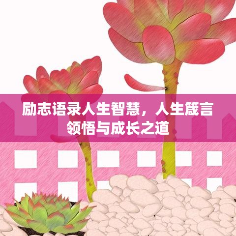 勵志語錄人生智慧，人生箴言領(lǐng)悟與成長之道