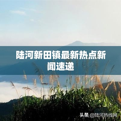 陸河新田鎮(zhèn)最新熱點新聞速遞