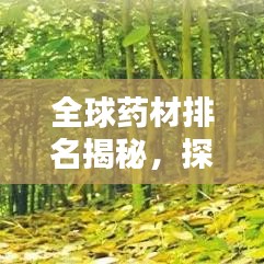 全球藥材排名揭秘，探究藥材的重要性