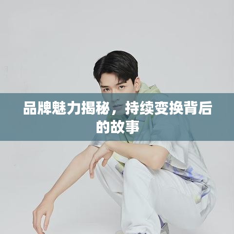 品牌魅力揭秘，持續(xù)變換背后的故事