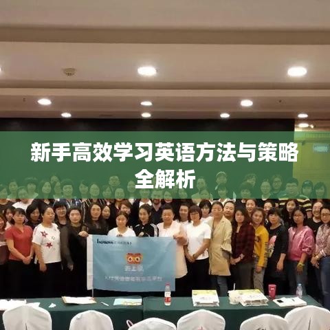 新手高效學(xué)習(xí)英語方法與策略全解析