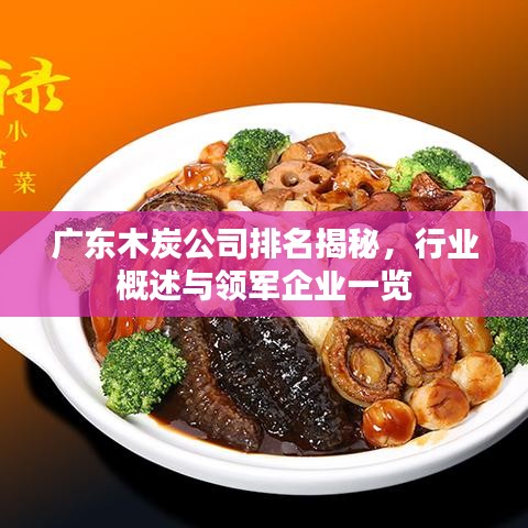 廣東木炭公司排名揭秘，行業(yè)概述與領(lǐng)軍企業(yè)一覽