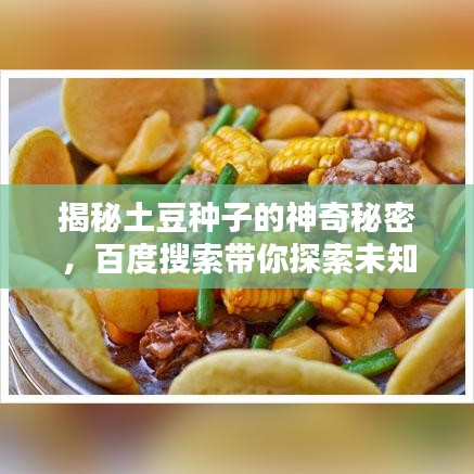 揭秘土豆種子的神奇秘密，百度搜索帶你探索未知世界