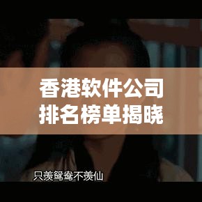 香港軟件公司排名榜單揭曉！最新排名一網(wǎng)打盡